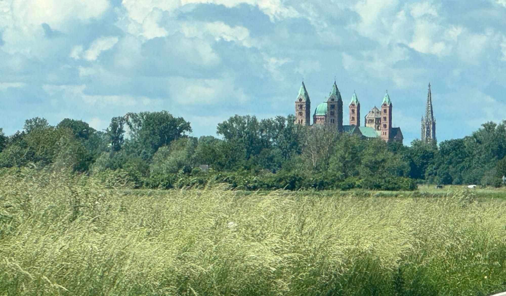 Ferienhaus Hoffmann Am Rheinbogen Altlussheim Екстер'єр фото
